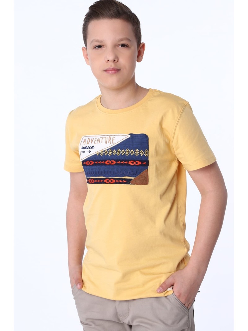 Boy\'s T-shirt with an embroidered application honey NDZ47002 - Online store - Boutique